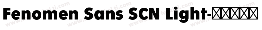 Fenomen Sans SCN Light字体转换